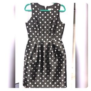 ‼️ NWT ‼️ J. Crew Dress